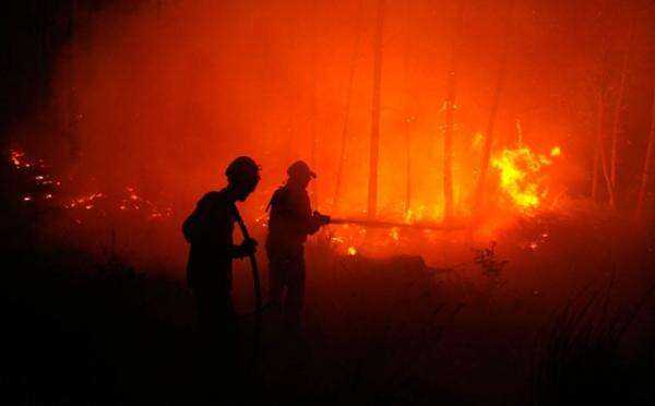 Kebakaran Hutan Picu Efek Domino, Legislator Perindo Perjuangkan Perlindungan UMKM Kalteng Kebakaran Hutan Picu Efek Domino, Legislator Perindo Perjuangkan Perlindungan UMKM Kalteng