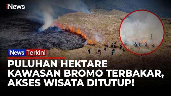 Kebakaran Bromo Hari Ketiga, 51 Hektare Hutan dan Sabana Hangus Terbakar Kebakaran Bromo Hari Ketiga, 51 Hektare Hutan dan Sabana Hangus Terbakar