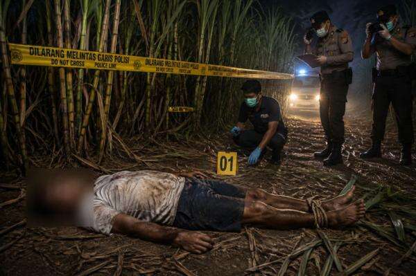 Deli Serdang Gempar, Mayat Pria Ditemukan Tewas Terikat di Kebun Tebu Deli Serdang Gempar, Mayat Pria Ditemukan Tewas Terikat di Kebun Tebu