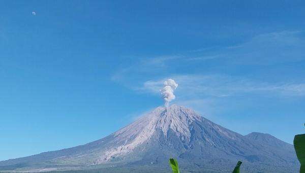 Gunung Semeru Kembali Meletus, Muntahkan Abu Vulkanik Setinggi 1.000 Meter Gunung Semeru Kembali Meletus, Muntahkan Abu Vulkanik Setinggi 1.000 Meter