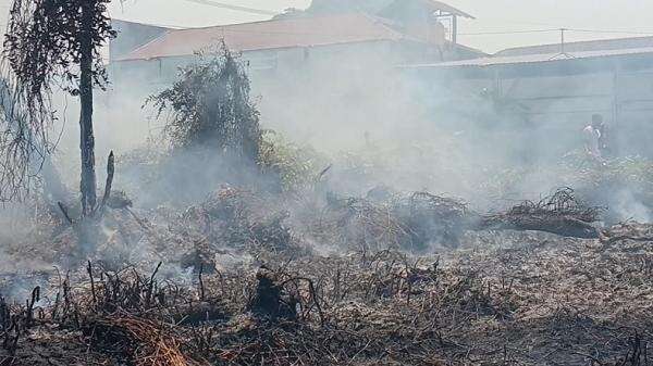 113 Orang Jadi Tersangka Karhutla, Riau Paling Banyak 113 Orang Jadi Tersangka Karhutla, Riau Paling Banyak