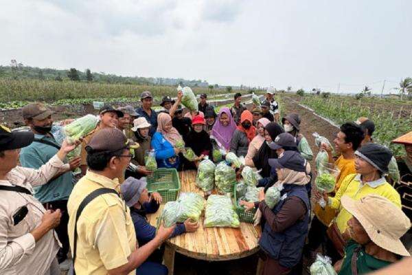 Petani Transmigrasi Bangka Selatan Buka Peluang Jajaki Pasokan Sayur ke SPPG Petani Transmigrasi Bangka Selatan Buka Peluang Jajaki Pasokan Sayur ke SPPG