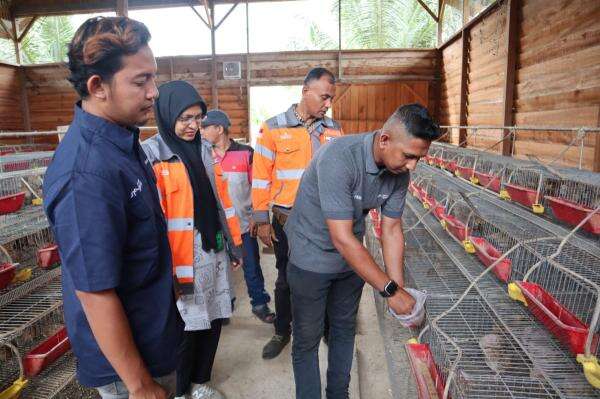 SIG Sulap 60 Ton Sampah Kelapa Jadi Pakan Ternak, Peternak di Aceh Hemat 60 SIG Sulap 60 Ton Sampah Kelapa Jadi Pakan Ternak, Peternak di Aceh Hemat 60