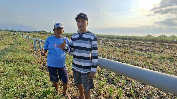 Teknologi Pipa Pertagas Hidupkan Kembali Sawah, Panen Bisa 3 Kali Setahun Teknologi Pipa Pertagas Hidupkan Kembali Sawah, Panen Bisa 3 Kali Setahun