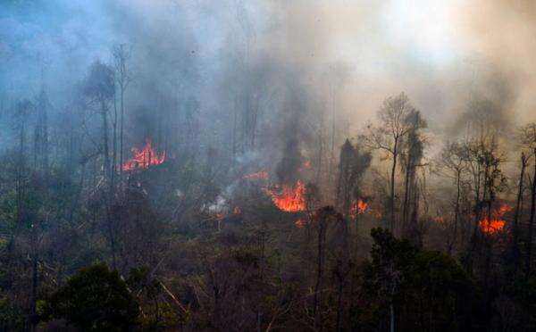 Kebakaran Hutan Meluas, Kapolda Riau Ajak Masyarakat Bersatu Lawan Karhutla Kebakaran Hutan Meluas, Kapolda Riau Ajak Masyarakat Bersatu Lawan Karhutla