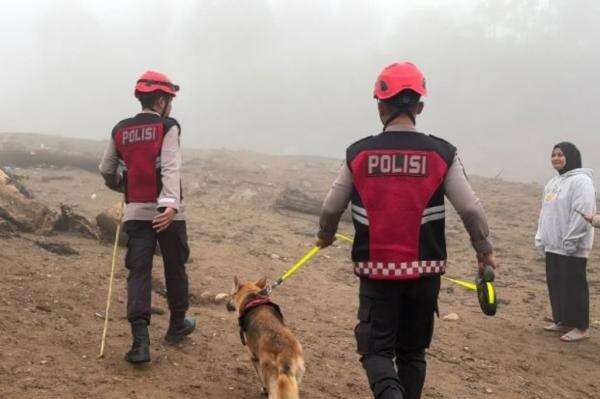 Polda Sumbar Kerahkan 2 Anjing Pelacak Cari Korban Banjir Bandang di Solok Polda Sumbar Kerahkan 2 Anjing Pelacak Cari Korban Banjir Bandang di Solok