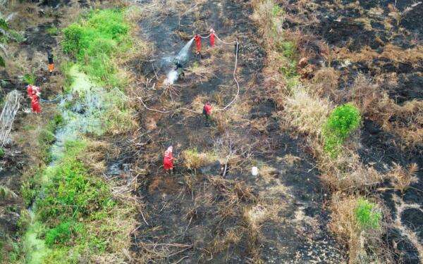 BNPB Catat 1.842 Titik Api Kebakaran Hutan dan Lahan di Kalimantan BNPB Catat 1.842 Titik Api Kebakaran Hutan dan Lahan di Kalimantan
