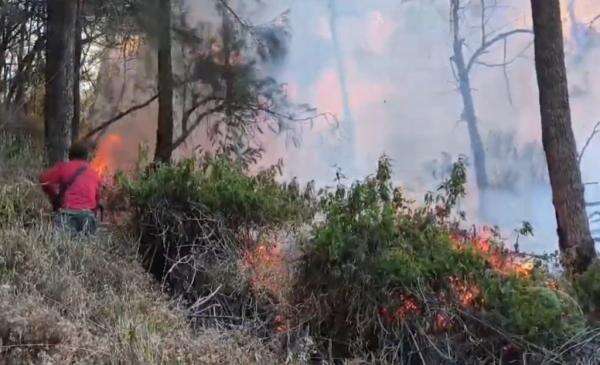 Gunung Arjuno Terbakar! Kobaran Api Terlihat Jelas dari Permukiman Warga sejauh 15 Km Gunung Arjuno Terbakar! Kobaran Api Terlihat Jelas dari Permukiman Warga sejauh 15 Km