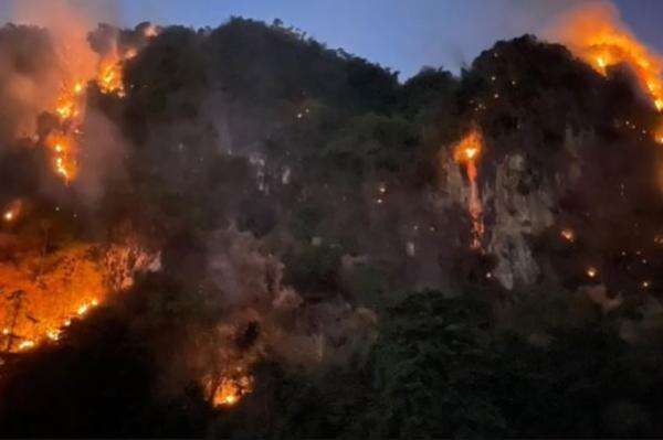 Karhutla di Gunung Karst Lesang Hanguskan 21,5 Ha Lahan, Api Mengarah ke Permukiman Karhutla di Gunung Karst Lesang Hanguskan 21,5 Ha Lahan, Api Mengarah ke Permukiman