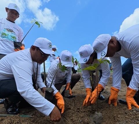 374.839 Pohon Ditanam PNM, Jejak Nyata Hijaukan Negeri di Hari Gerakan Satu Juta Pohon 374.839 Pohon Ditanam PNM, Jejak Nyata Hijaukan Negeri di Hari Gerakan Satu Juta Pohon