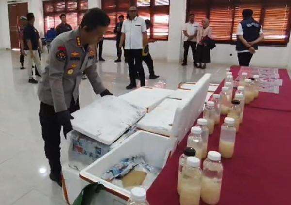 Penyelundupan 50.000 Benih Lobster Senilai Rp7,5 Miliar Digagalkan di Cilegon Penyelundupan 50.000 Benih Lobster Senilai Rp7,5 Miliar Digagalkan di Cilegon