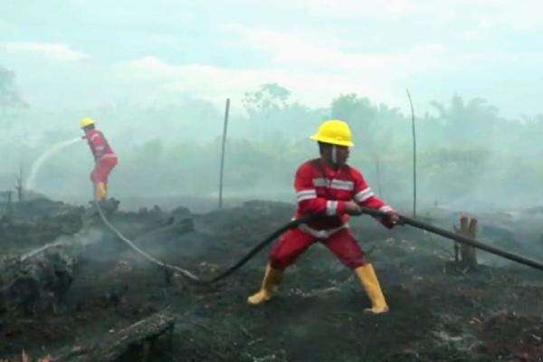 Pencegahan Karhutla Harus Berbasis Sains dan Verifikasi Pencegahan Karhutla Harus Berbasis Sains dan Verifikasi
