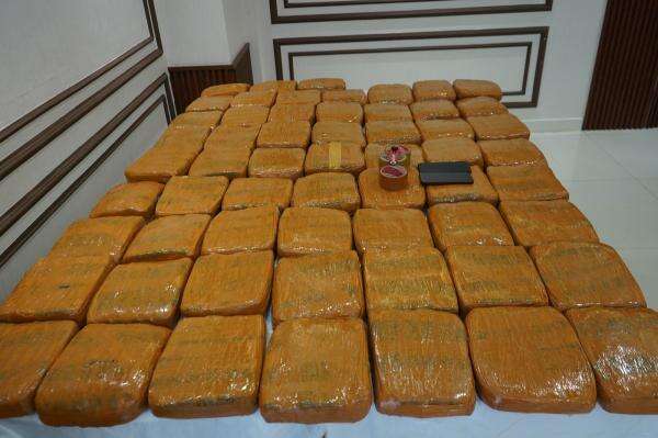 Polisi Tangkap 2 Pengedar Ganja di Jakbar, Sita Barang Bukti 62,5 Kg Polisi Tangkap 2 Pengedar Ganja di Jakbar, Sita Barang Bukti 62,5 Kg