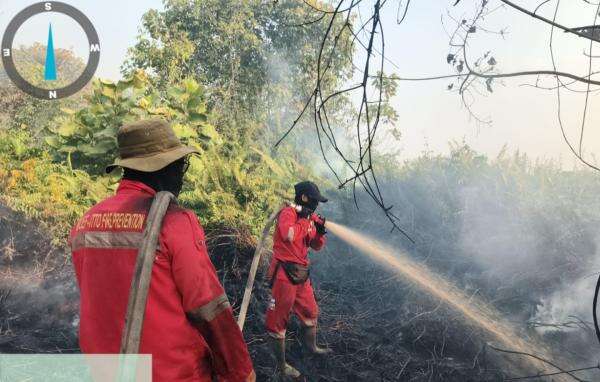 BNPB Temukan Ribuan Titik Hotspot Karhutla, 52 Armada Udara Dikerahkan BNPB Temukan Ribuan Titik Hotspot Karhutla, 52 Armada Udara Dikerahkan