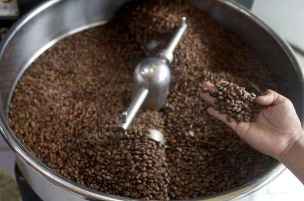 Minum Kopi Setiap Hari Baik untuk Liver? Dosen IPB Ungkap Batas Aman Konsumsinya Minum Kopi Setiap Hari Baik untuk Liver? Dosen IPB Ungkap Batas Aman Konsumsinya