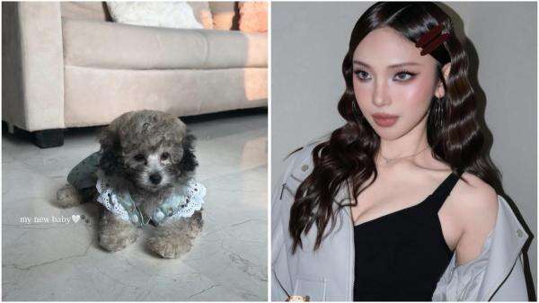 Geger! Jule Mendadak Pelihara Anjing usai Diisukan Hamil Anak Safrie Geger! Jule Mendadak Pelihara Anjing usai Diisukan Hamil Anak Safrie