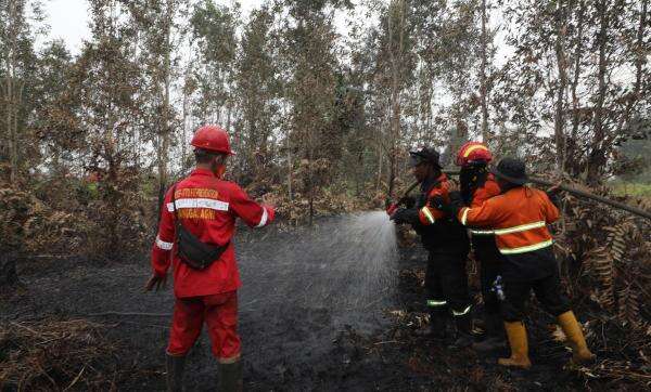 Material Pemadam Karhutla dari Brasil Diuji di Banyuasin, Diklaim 10 Kali Lebih Efektif Material Pemadam Karhutla dari Brasil Diuji di Banyuasin, Diklaim 10 Kali Lebih Efektif
