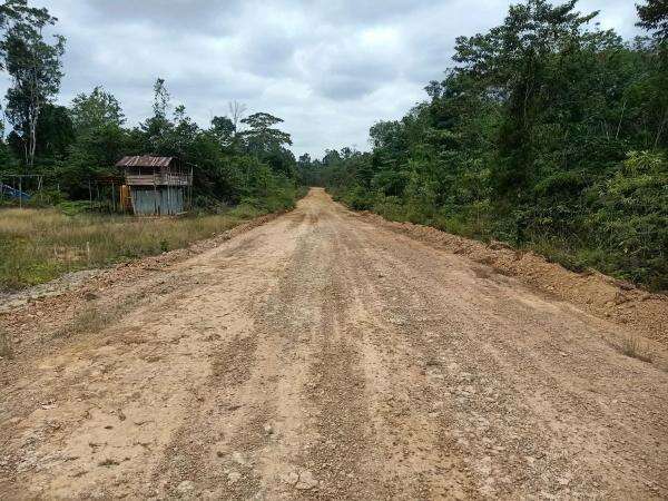 Dukung Ekonomi, Ini Penampakan Akses Jalan Pelabuhan Desa Miri di Papua Selatan Dukung Ekonomi, Ini Penampakan Akses Jalan Pelabuhan Desa Miri di Papua Selatan
