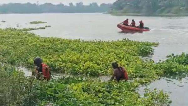 Pria di Jombang Hilang Usai Kecelakaan, Ditemukan Tewas di Bawah Eceng Gondok Sungai Brantas Pria di Jombang Hilang Usai Kecelakaan, Ditemukan Tewas di Bawah Eceng Gondok Sungai Brantas