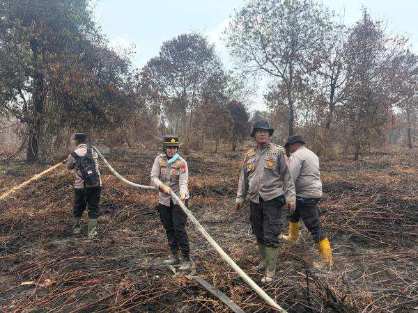 Bareskrim Tetapkan 112 Tersangka Kasus Karhutla, Ini Rinciannya Bareskrim Tetapkan 112 Tersangka Kasus Karhutla, Ini Rinciannya