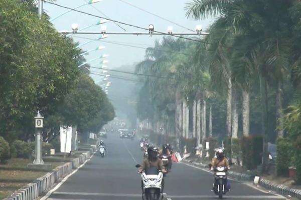 Kabut Asap Mulai Palangka Raya, 109 Karhutla Hanguskan 54,44 Hektare Lahan Kabut Asap Mulai Palangka Raya, 109 Karhutla Hanguskan 54,44 Hektare Lahan