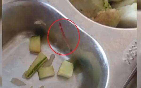 Viral Menu MBG di Pati Ditemukan Cacing dan Ulat, Plt Bupati Langsung Sidak SPPG Viral Menu MBG di Pati Ditemukan Cacing dan Ulat, Plt Bupati Langsung Sidak SPPG