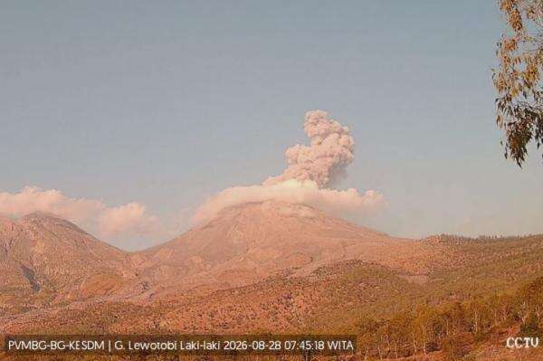 Gunung Lewotobi Laki-laki di NTT Erupsi, Muntahkan Abu Vulkanis Setinggi 1 Km Gunung Lewotobi Laki-laki di NTT Erupsi, Muntahkan Abu Vulkanis Setinggi 1 Km