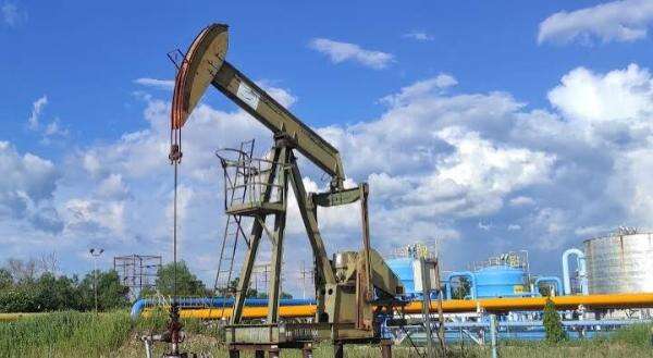 RI Tawarkan 138 Blok Migas ke Investor Rusia RI Tawarkan 138 Blok Migas ke Investor Rusia