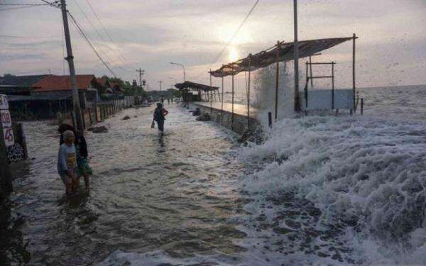 BMKG Peringatkan Potensi Banjir Rob di Jabar-Jateng, Ini Daftar Wilayah Terdampak BMKG Peringatkan Potensi Banjir Rob di Jabar-Jateng, Ini Daftar Wilayah Terdampak