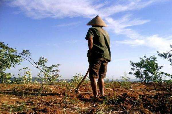 El Nino Panjang Diprediksi hingga Oktober, Pemprov DKI Siapkan Modifikasi Cuaca El Nino Panjang Diprediksi hingga Oktober, Pemprov DKI Siapkan Modifikasi Cuaca