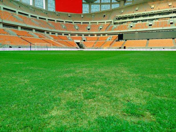 Rumput JIS Tak Merata Jelang Persija Vs Brisbane Roar, Ada Perbedaan Mencolok Rumput JIS Tak Merata Jelang Persija Vs Brisbane Roar, Ada Perbedaan Mencolok