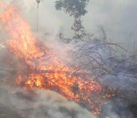 Kawasan Gunung Rinjani Terbakar Seluas 30 Hektare, Tidak Ada Korban Jiwa Kawasan Gunung Rinjani Terbakar Seluas 30 Hektare, Tidak Ada Korban Jiwa