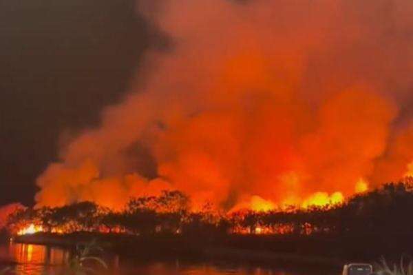 Kebakaran Lahan Kosong di Pantai Marina Semarang, 3 Orang Ditangkap 1 Kabur Kebakaran Lahan Kosong di Pantai Marina Semarang, 3 Orang Ditangkap 1 Kabur