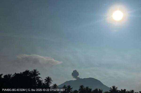 Gunung Ibu di Maluku Utara Meletus, Tinggi Abu Vulkanis Capai 400 Meter Gunung Ibu di Maluku Utara Meletus, Tinggi Abu Vulkanis Capai 400 Meter