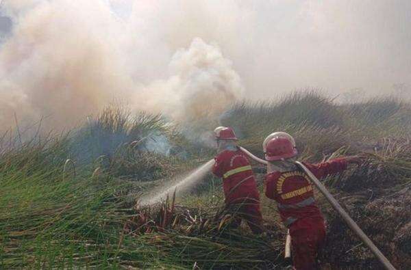 Kemenhut Perkuat Sistem Deteksi Dini Karhutla di Kalimantan Selatan Kemenhut Perkuat Sistem Deteksi Dini Karhutla di Kalimantan Selatan
