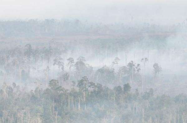 Asap Karhutla Kalimantan hingga ke Negara Tetangga, BMKG Ungkap Karena Angin Asap Karhutla Kalimantan hingga ke Negara Tetangga, BMKG Ungkap Karena Angin