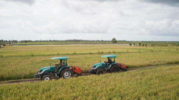 Didorong Dua Program Ini, Harga Beras di Merauke Berhasil Turun Jadi Rp15.500 per Kg Didorong Dua Program Ini, Harga Beras di Merauke Berhasil Turun Jadi Rp15.500 per Kg