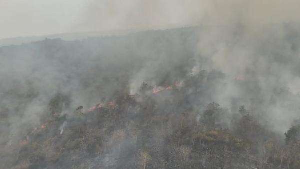 Hari Ketiga Kebakaran Gunung Ciremai, 40 Hektare Hutan Terbakar Hari Ketiga Kebakaran Gunung Ciremai, 40 Hektare Hutan Terbakar