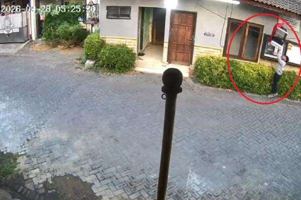 Burung Cucak Hijau Jawara Kontes Berkicau Dicuri, Aksi Pelaku Terekam CCTV Burung Cucak Hijau Jawara Kontes Berkicau Dicuri, Aksi Pelaku Terekam CCTV