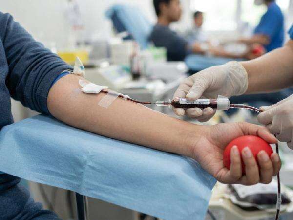 Plasma Darah Bisa Jadi Penopang Hidup Pasien Hemofilia, Ini Alasannya Plasma Darah Bisa Jadi Penopang Hidup Pasien Hemofilia, Ini Alasannya