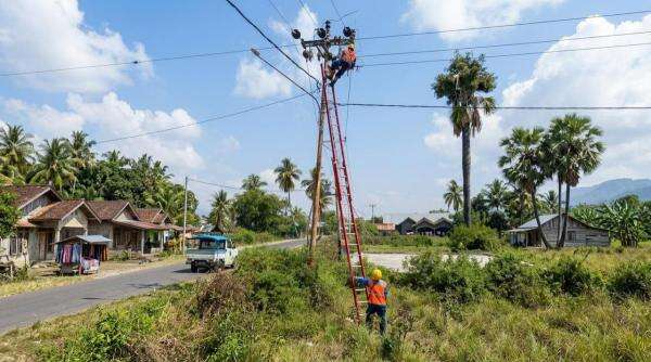 PLN Percepat Pemulihan Fasilitas Umum dan Vital di Flores usai Diguncang Gempa PLN Percepat Pemulihan Fasilitas Umum dan Vital di Flores usai Diguncang Gempa