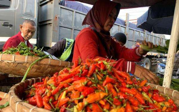 Mayoritas Harga Pangan Hari Ini Naik, Cabai Rawit Merah Hampir Rp60.000 per Kg Mayoritas Harga Pangan Hari Ini Naik, Cabai Rawit Merah Hampir Rp60.000 per Kg