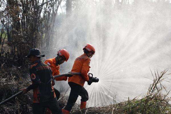 Apresiasi Aksi Greenpeace, Gerakan Cinta Prabowo Akui Kebakaran Hutan Masih Jadi Masalah Apresiasi Aksi Greenpeace, Gerakan Cinta Prabowo Akui Kebakaran Hutan Masih Jadi Masalah