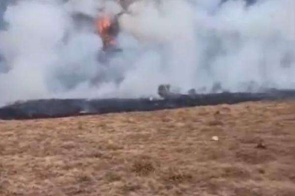 Alun-Alun Suryakencana Gunung Gede Pangrango Kebakaran, Pendakian Ditutup Alun-Alun Suryakencana Gunung Gede Pangrango Kebakaran, Pendakian Ditutup