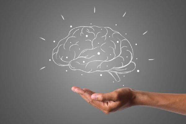 Ciri-Ciri Orang yang Punya IQ Rendah yang Jarang Disadari Ciri-Ciri Orang yang Punya IQ Rendah yang Jarang Disadari