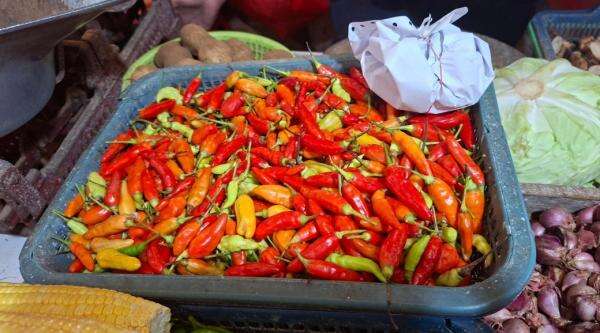 Kementan Ungkap Alasan Harga Cabai dan Bawang Mahal Kementan Ungkap Alasan Harga Cabai dan Bawang Mahal