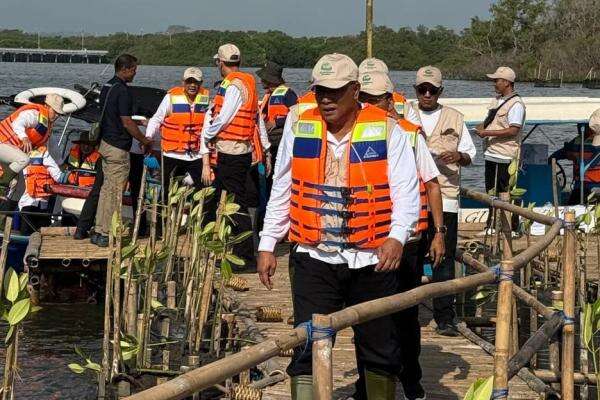Hari Mangrove Sedunia, Pemerintah dan APHI Dorong Pengelolaan Berkelanjutan Hari Mangrove Sedunia, Pemerintah dan APHI Dorong Pengelolaan Berkelanjutan