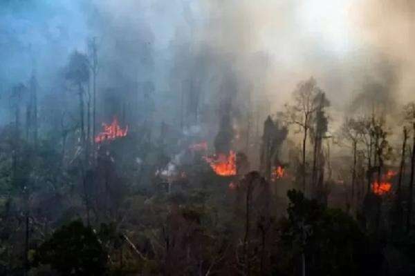 Atasi Karhutla di Riau, Kalbar, dan Kalteng, Kemenhut Gelar Operasi Modifikasi Cuaca Atasi Karhutla di Riau, Kalbar, dan Kalteng, Kemenhut Gelar Operasi Modifikasi Cuaca
