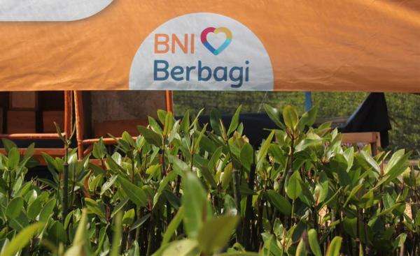 Hari Mangrove Sedunia Jadi Momentum BNI Perkuat Komitmen Pelestarian Lingkungan dan Ekonomi Pesisir Hari Mangrove Sedunia Jadi Momentum BNI Perkuat Komitmen Pelestarian Lingkungan dan Ekonomi Pesisir