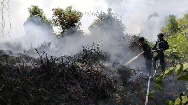 48 Hektare Lahan di Pulang Pisau Terbakar, 8 Orang Ditetapkan Tersangka 48 Hektare Lahan di Pulang Pisau Terbakar, 8 Orang Ditetapkan Tersangka
